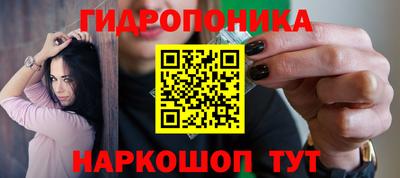 прущие грибы Балахна