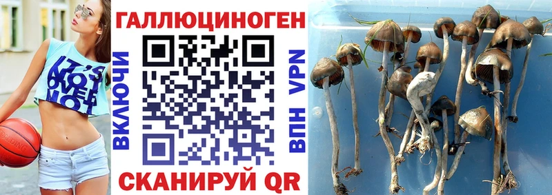 Галлюциногенные грибы MAGIC MUSHROOMS Ялта